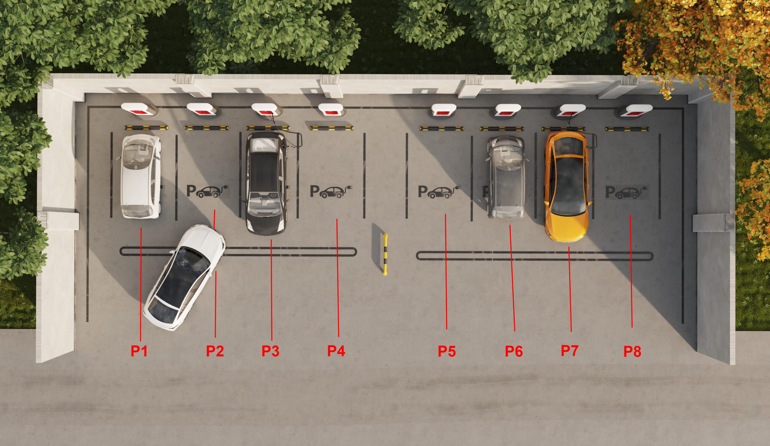 Parking Survey