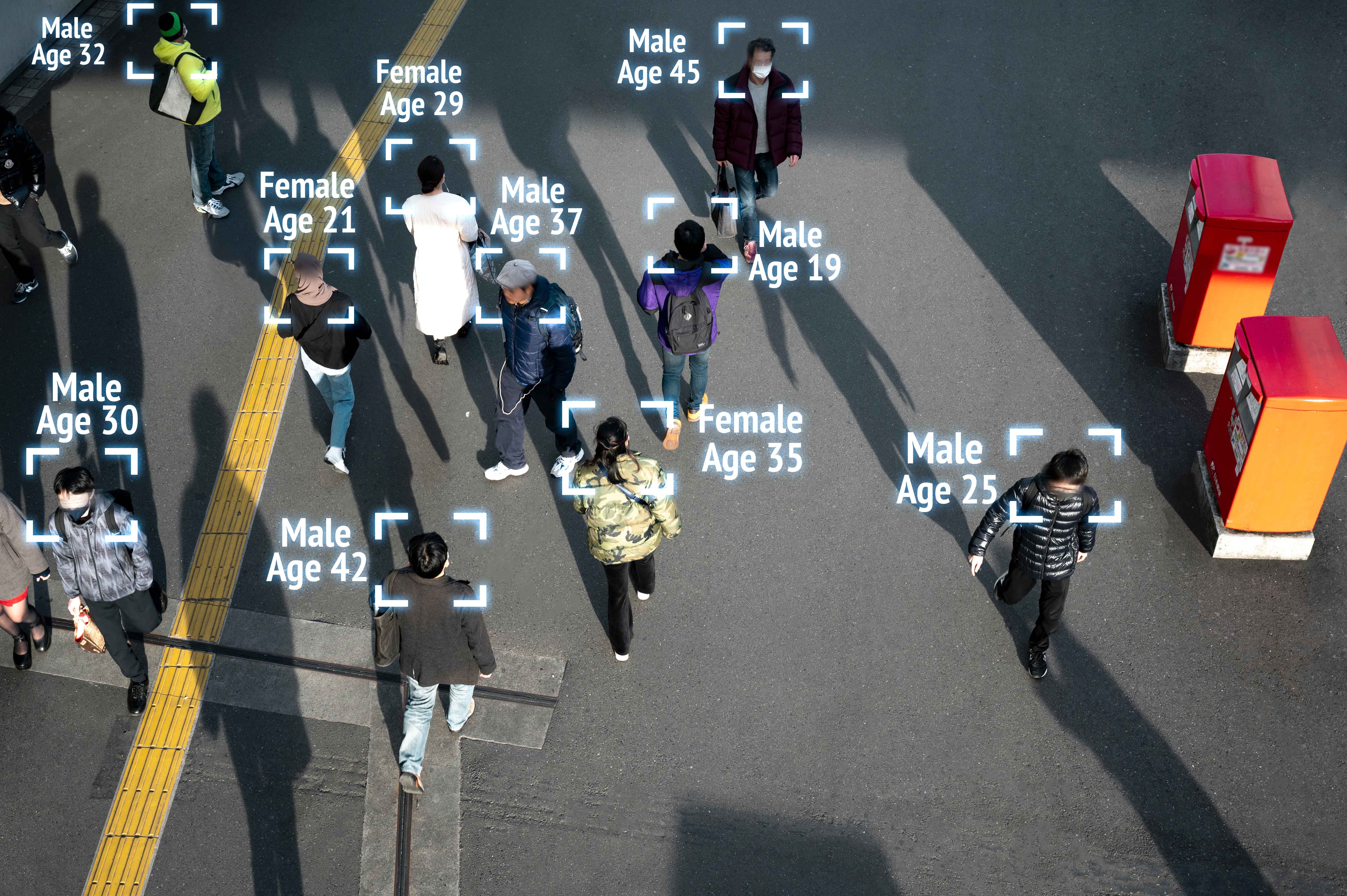 Pedestrian Survey